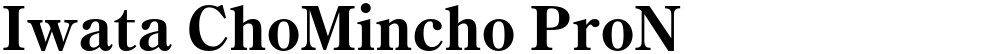 Iwata ChoMincho ProN
