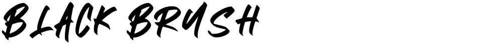 BLACK BRUSH