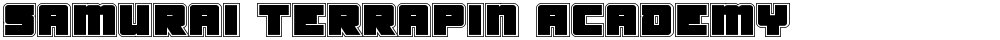 Samurai Terrapin Academy