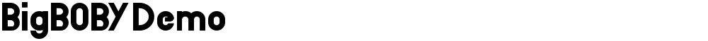 BigBOBY Demo