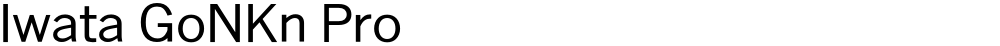 Iwata GoNKn Pro