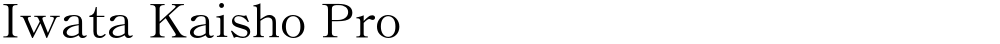 Iwata Kaisho Pro